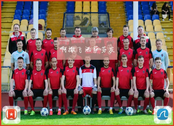 C罗伊布2014世界杯直接对话：数据、进球与全场分析