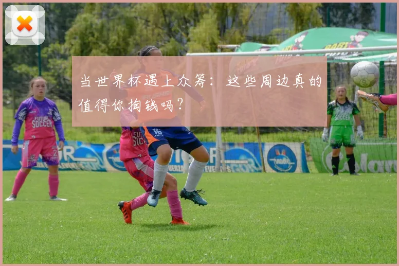 当世界杯遇上众筹：这些周边真的值得你掏钱吗？