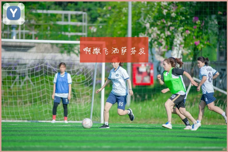 C罗伊布2014世界杯直接对话：数据、进球与全场分析