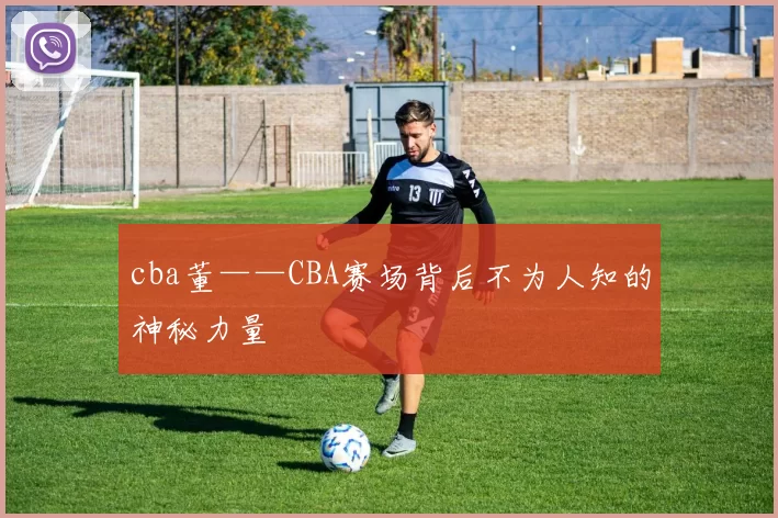 cba董——CBA赛场背后不为人知的神秘力量