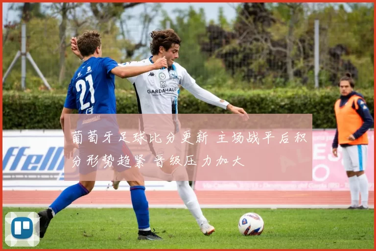 葡萄牙足球比分更新 主场战平后积分形势趋紧 晋级压力加大