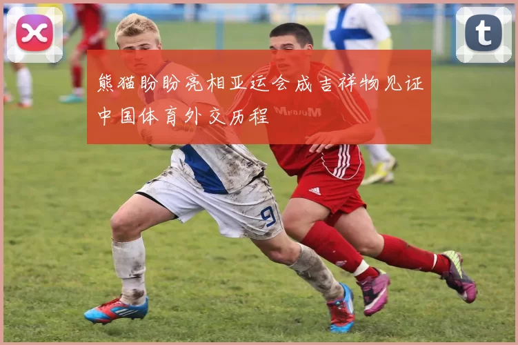 熊猫盼盼亮相亚运会成吉祥物见证中国体育外交历程