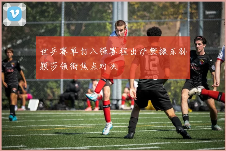 世乒赛单打八强赛程出炉樊振东孙颖莎领衔焦点对决